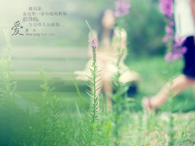 南京中山植物园的紫藤与黄木香花-武穆逸仙