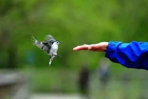 活着,我不欺负人,也不受人欺负!-武穆逸仙