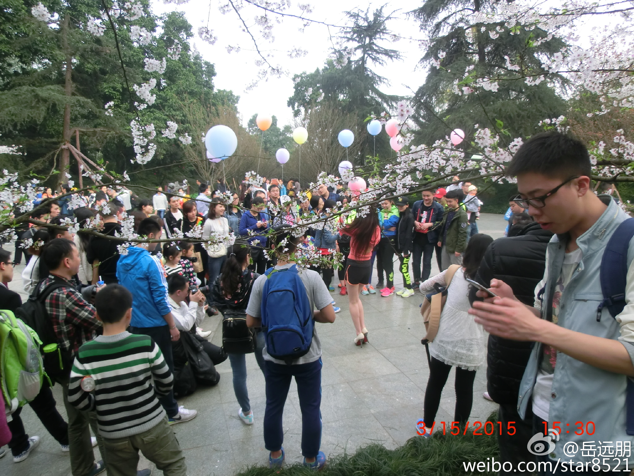 2015 重庆国际马拉松活力踩线团