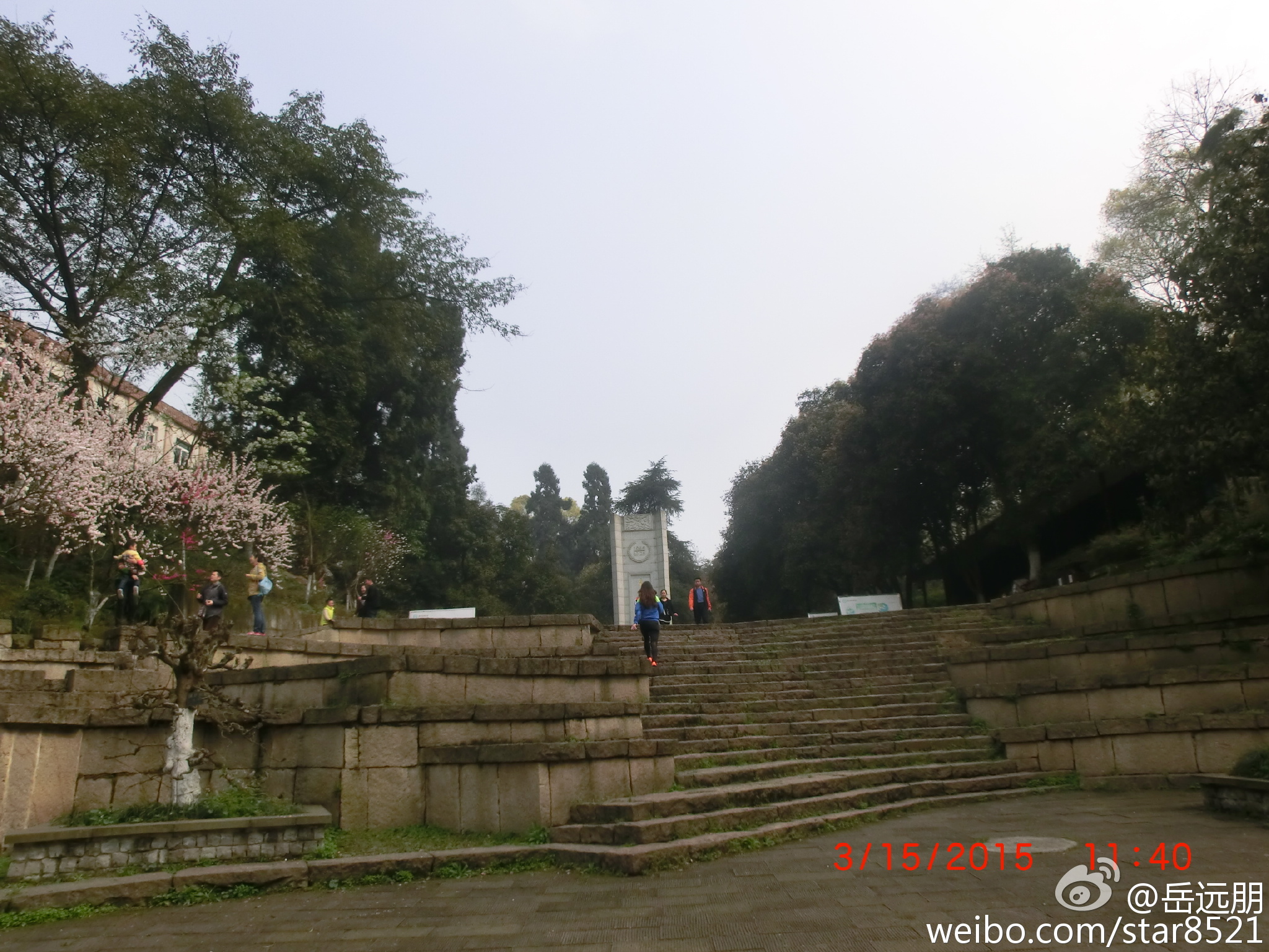 2015 重庆国际马拉松活力踩线团 2015 重庆国际马拉松活力踩线团