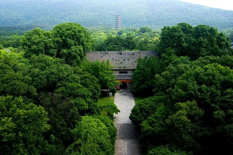 来钟山风景区，这样的玩法超有趣！