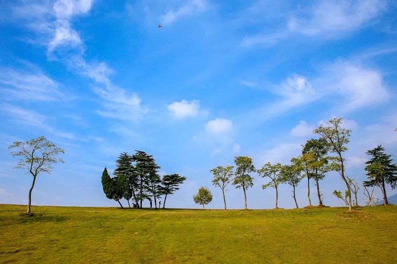 来钟山风景区，这样的玩法超有趣！