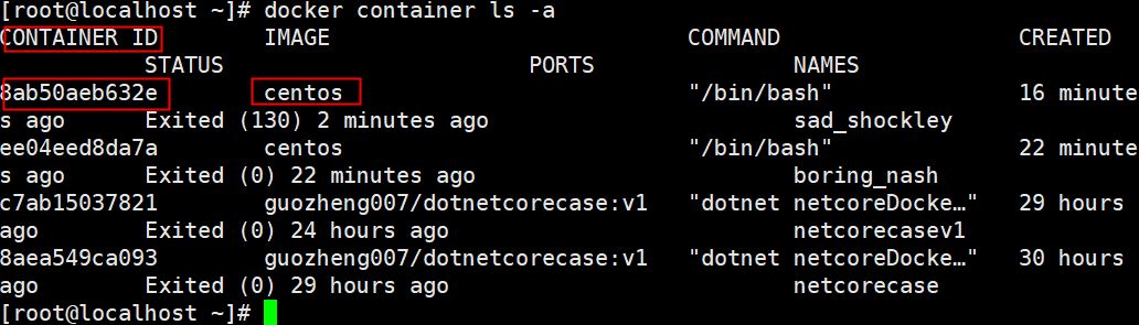 .NET Core 2.1 秒杀项目系列：Docker 入门