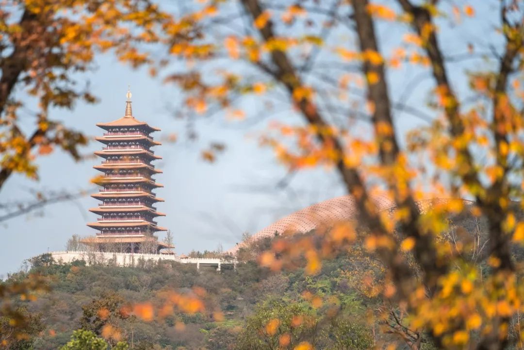 江宁秋天超上镜的这些地方，一定要来！