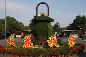 免费!上万盆菊花竞相开放!2019玄武湖金秋菊展来了!-武穆逸仙