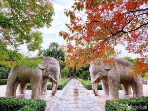 文旅周周报 | 新一周的文旅活动准时上线,赶紧约起来!-武穆逸仙