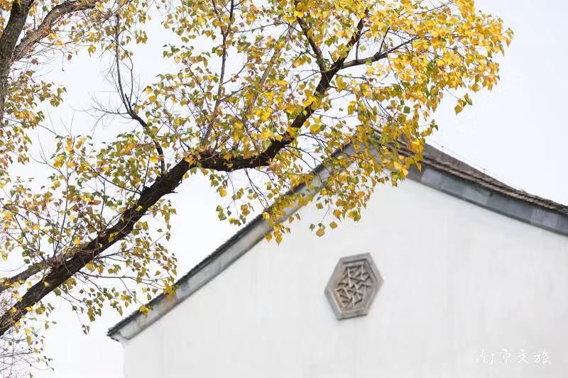 一到深秋,南京城的这个旧故里就美成了油画!-武穆逸仙