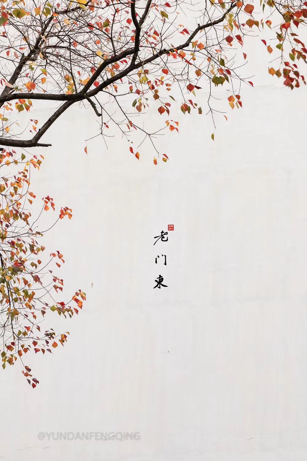 一到深秋，南京城的这个旧故里就美成了油画！