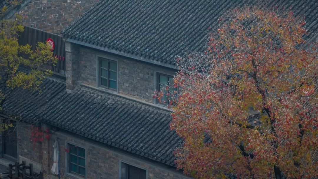 一到深秋，南京城的这个旧故里就美成了油画！