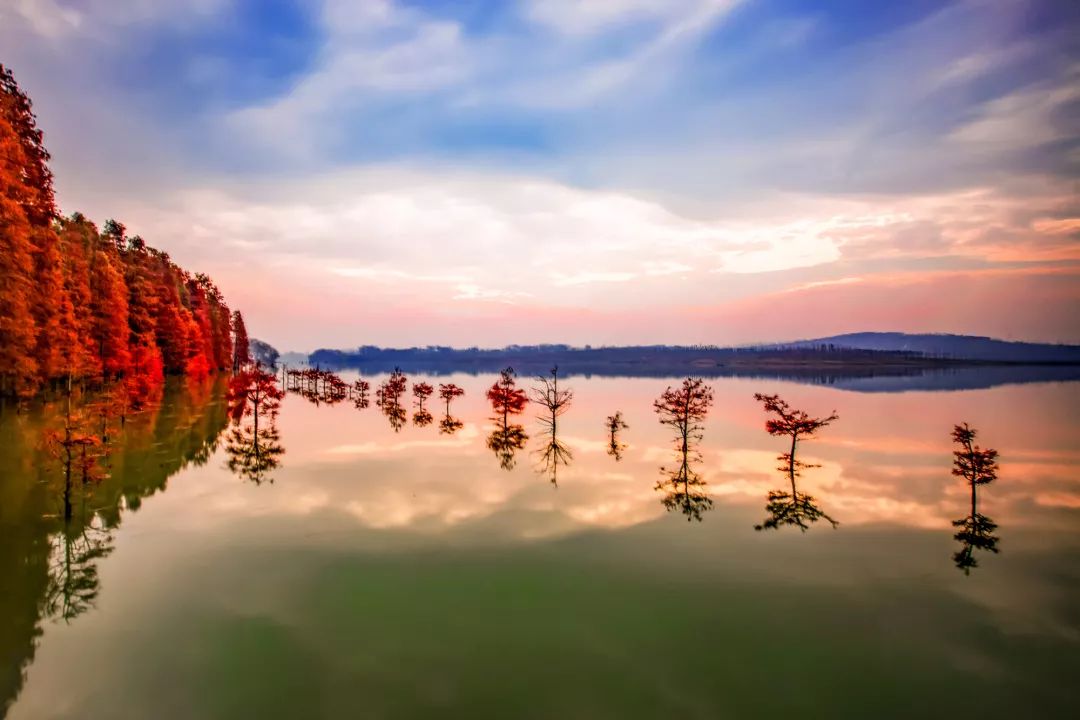秋水如诗,秋色如画!六合的秋,原来这么美! 秋水如诗,秋色如画!六合的秋,原来这么美!