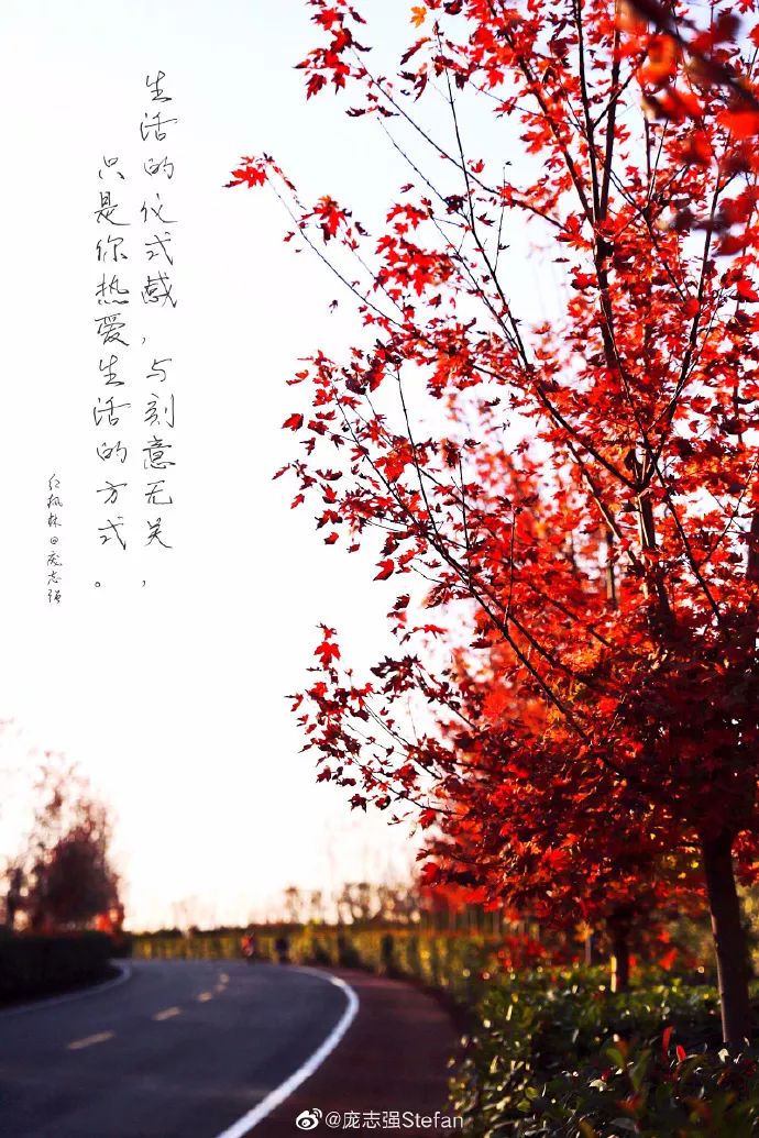 秋水如诗,秋色如画!六合的秋,原来这么美! 秋水如诗,秋色如画!六合的秋,原来这么美!
