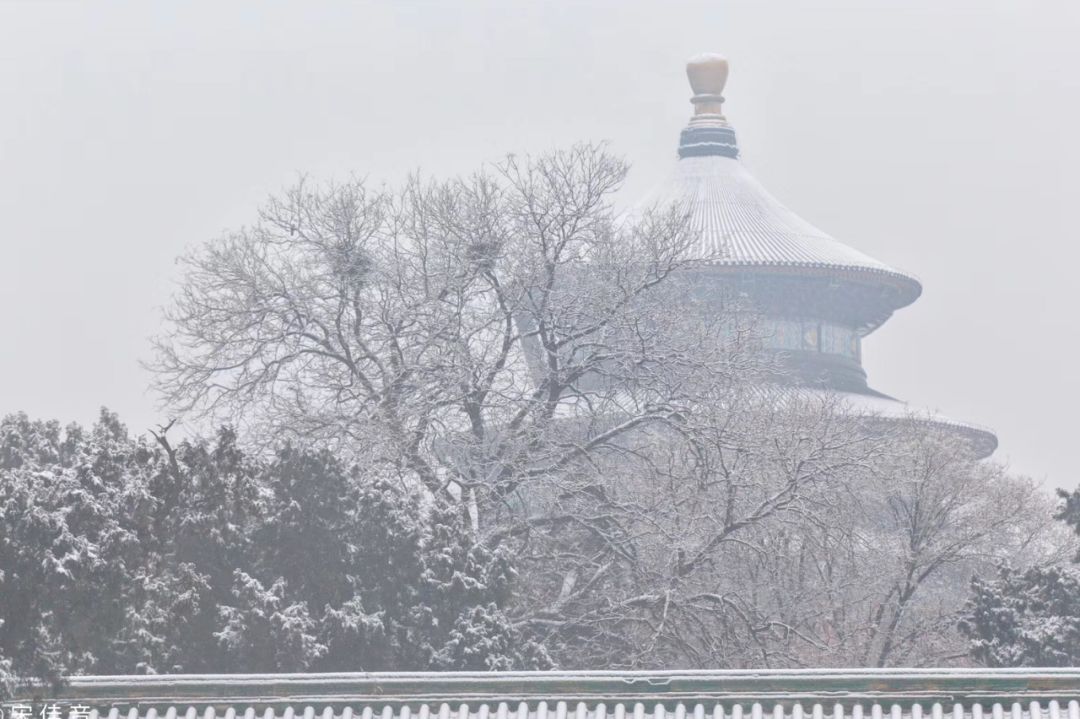 雪҉҉҈雪҉҉҈雪҉҉҈ 快看！你们期待的故宫照片，来了！