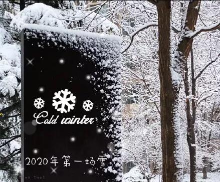 2020年的第一场雪-武穆逸仙