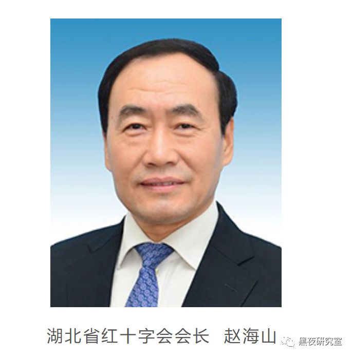 你以为仅仅和莆田医院勾兑?湖北红十字会的水深不可测!-武穆逸仙
