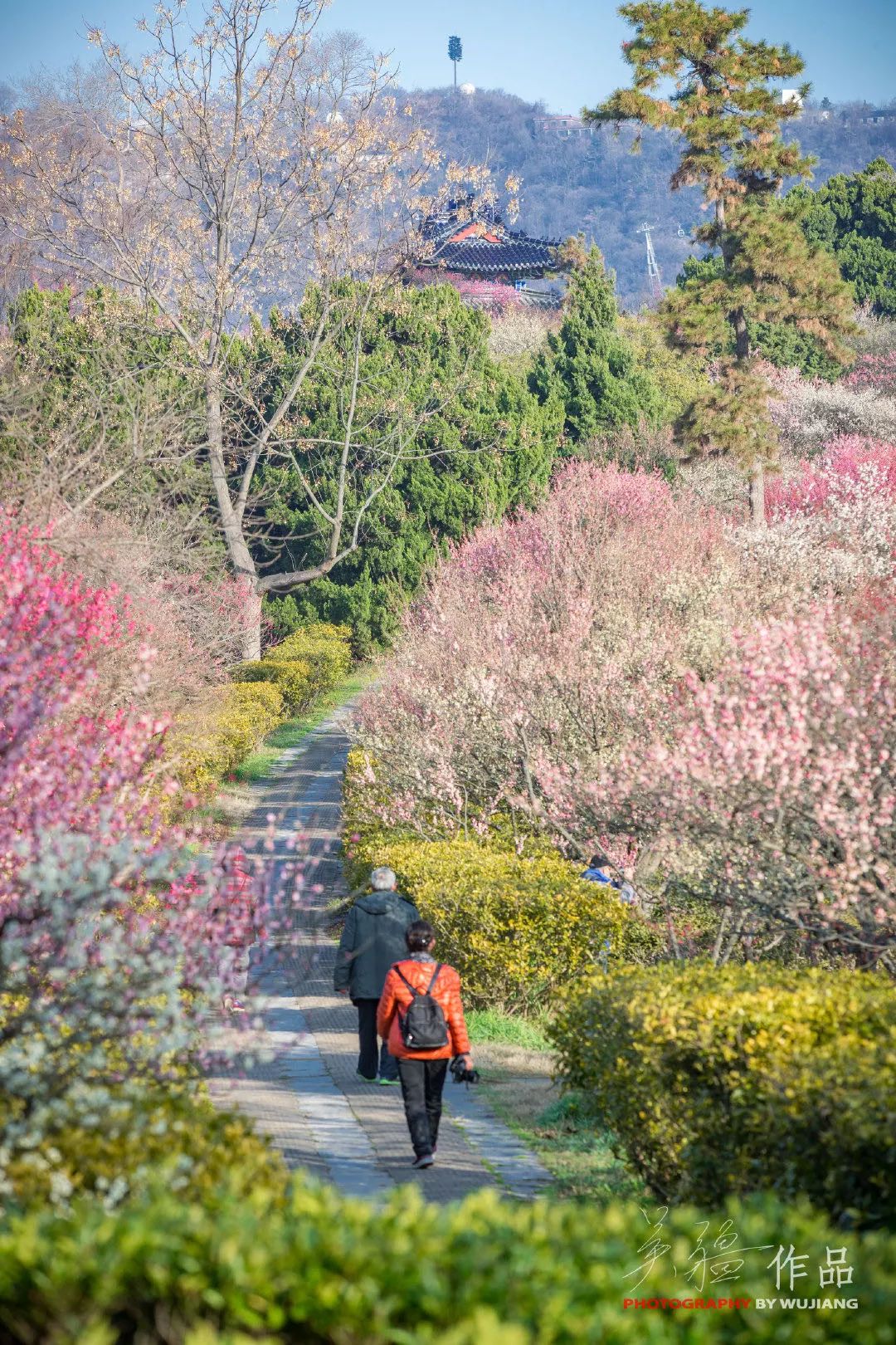 春暖花开，久违了！