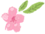 溧水“梅”景引人入胜!720°“云游”花海,每一帧都是绝美画卷! 溧水“梅”景引人入胜!720°“云游”花海,每一帧都是绝美画卷!