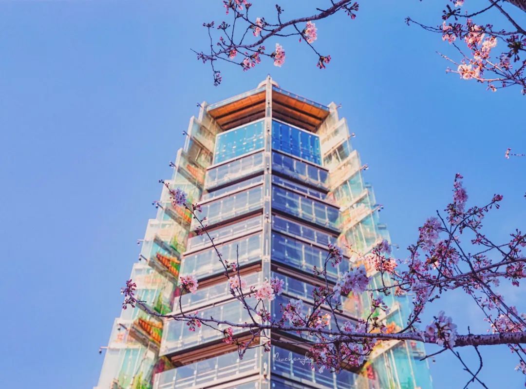 这里春景独好!赏花观展两不误,等你来逛! 这里春景独好!赏花观展两不误,等你来逛!