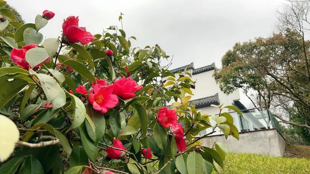 珍珠泉的春天如约而至，这份赏花锦囊赶紧收好吧！