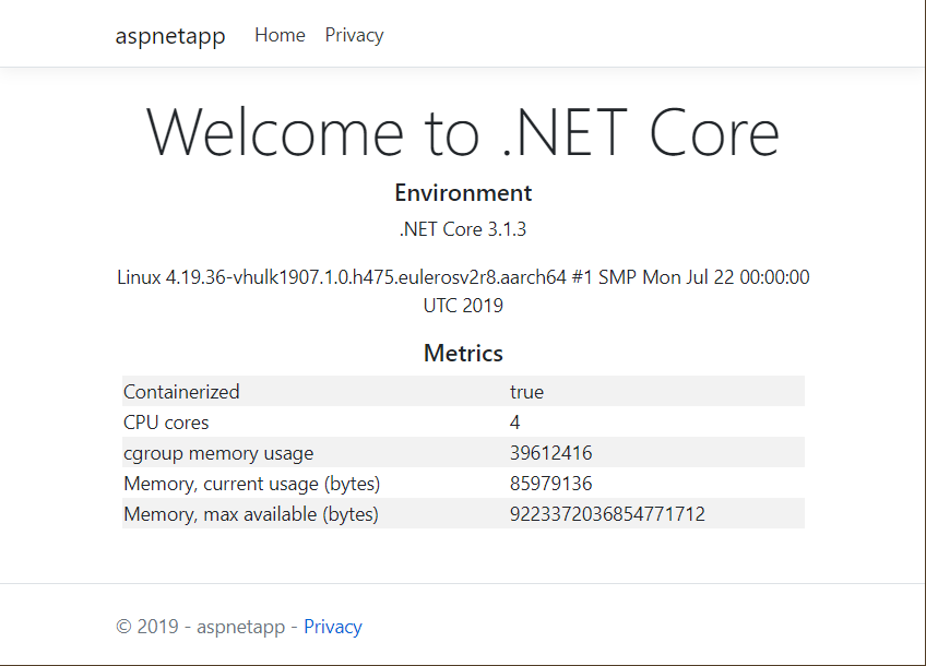 .NET 与鲲鹏共展翅，昇腾九万里（一）