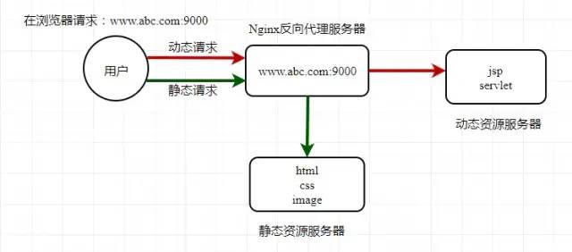喜极而泣,我终于学会了 Nginx! Nginx 学习使用