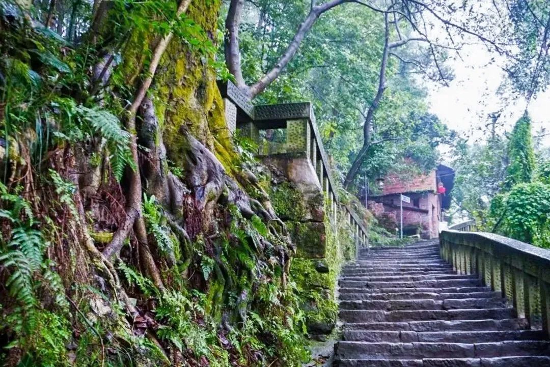 趁清明小长假，去南岸这些踏青地逛逛