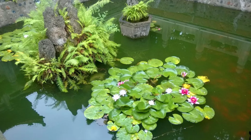 大好春光,来汉台踏青给你前所未有的安排! 大好春光,来汉台踏青给你前所未有的安排!