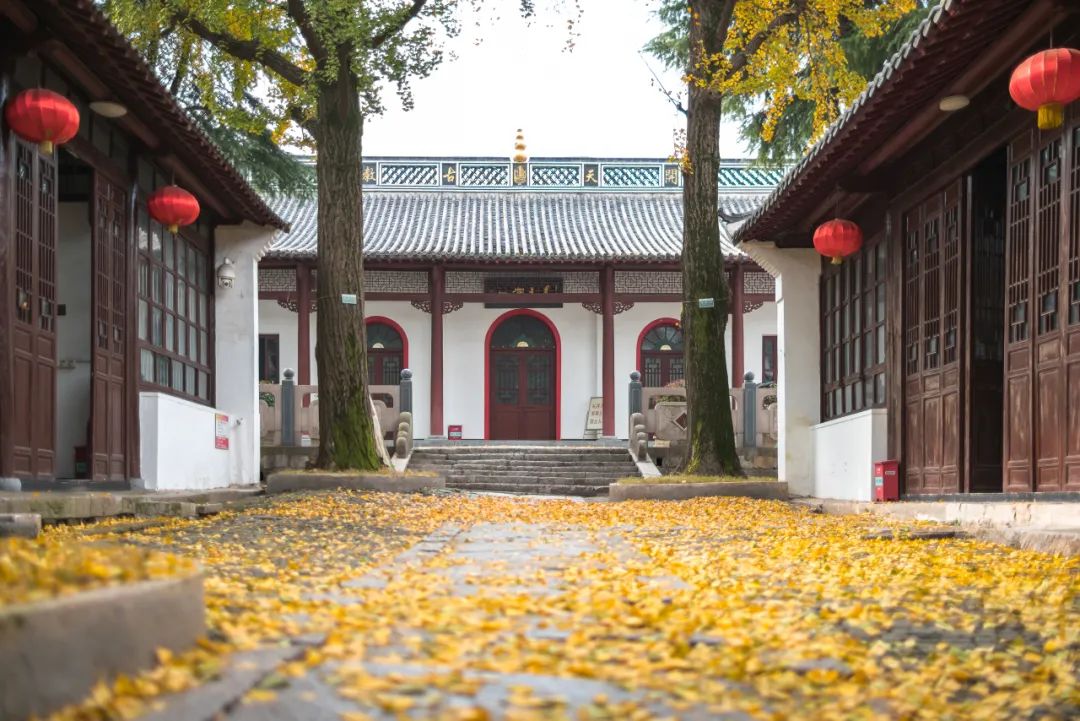 江宁赏秋时间表出炉,此番秋情不容错过! 江宁赏秋时间表出炉,此番秋情不容错过!