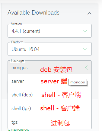 .NET Core+MongoDB 集群搭建与实战