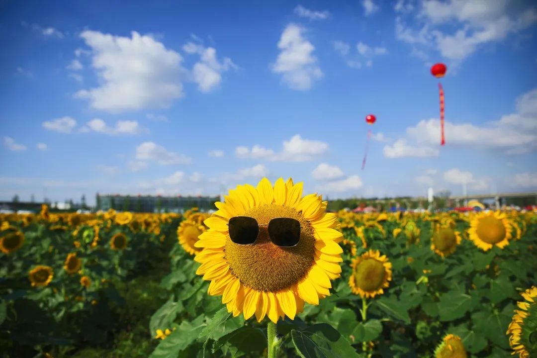 好看又好玩,浦口这些地方很撩人! 好看又好玩,浦口这些地方很撩人!