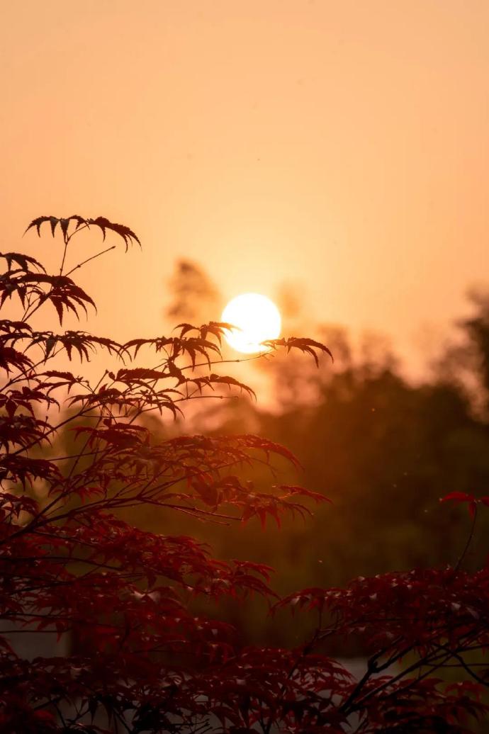 来牛首山，探寻秋之美