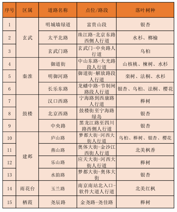 42 处落叶观赏点，留住南京“醉”美秋色！