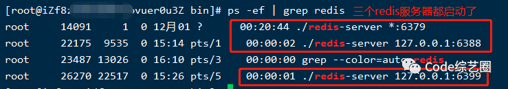 跟我一起学 Redis 之高可用从主从复制开始