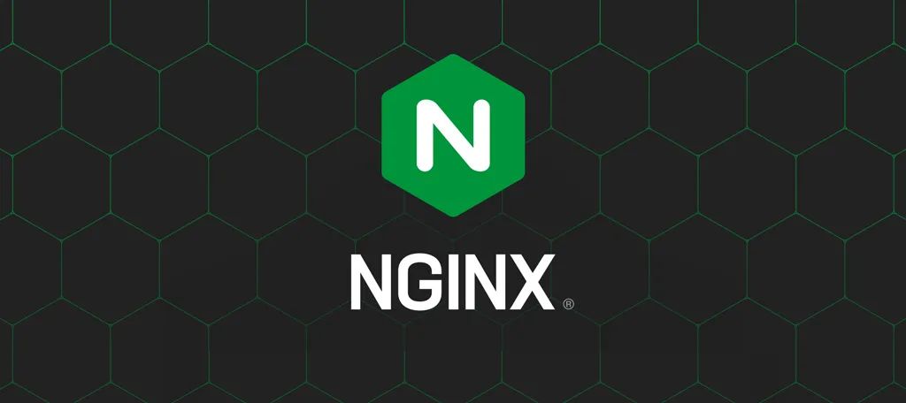 Nginx 从入门到干活