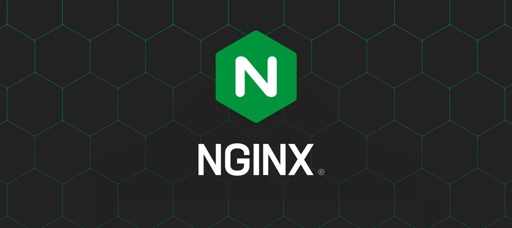 Nginx从入门到干活，看这一篇足矣