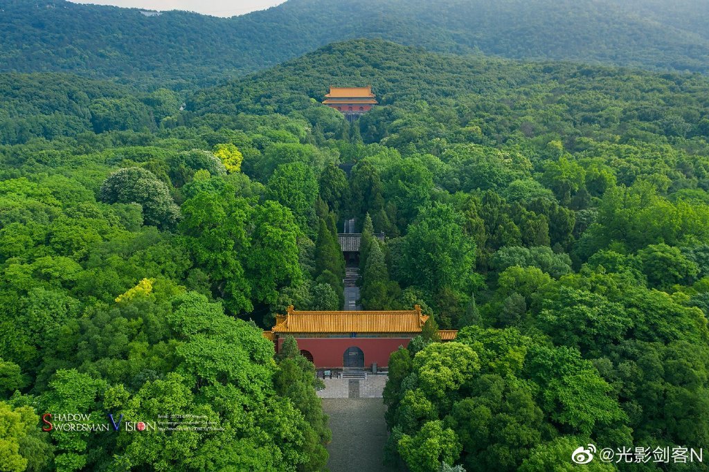 明孝陵,夏日的色彩!-武穆逸仙