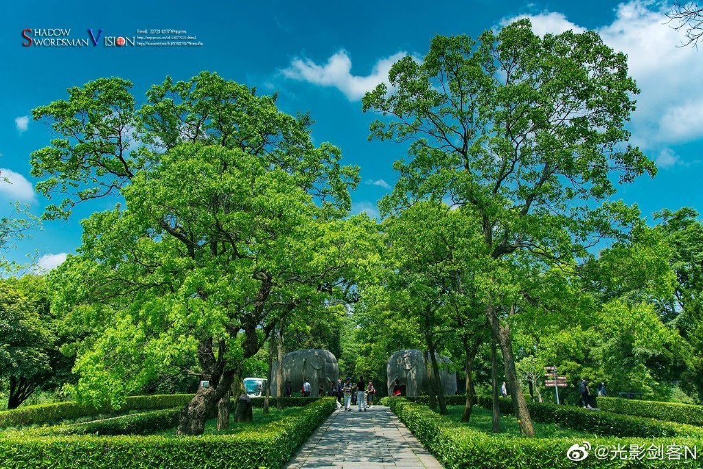 明孝陵，夏日的色彩！