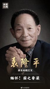 致敬杂交水稻之父-袁隆平-武穆逸仙