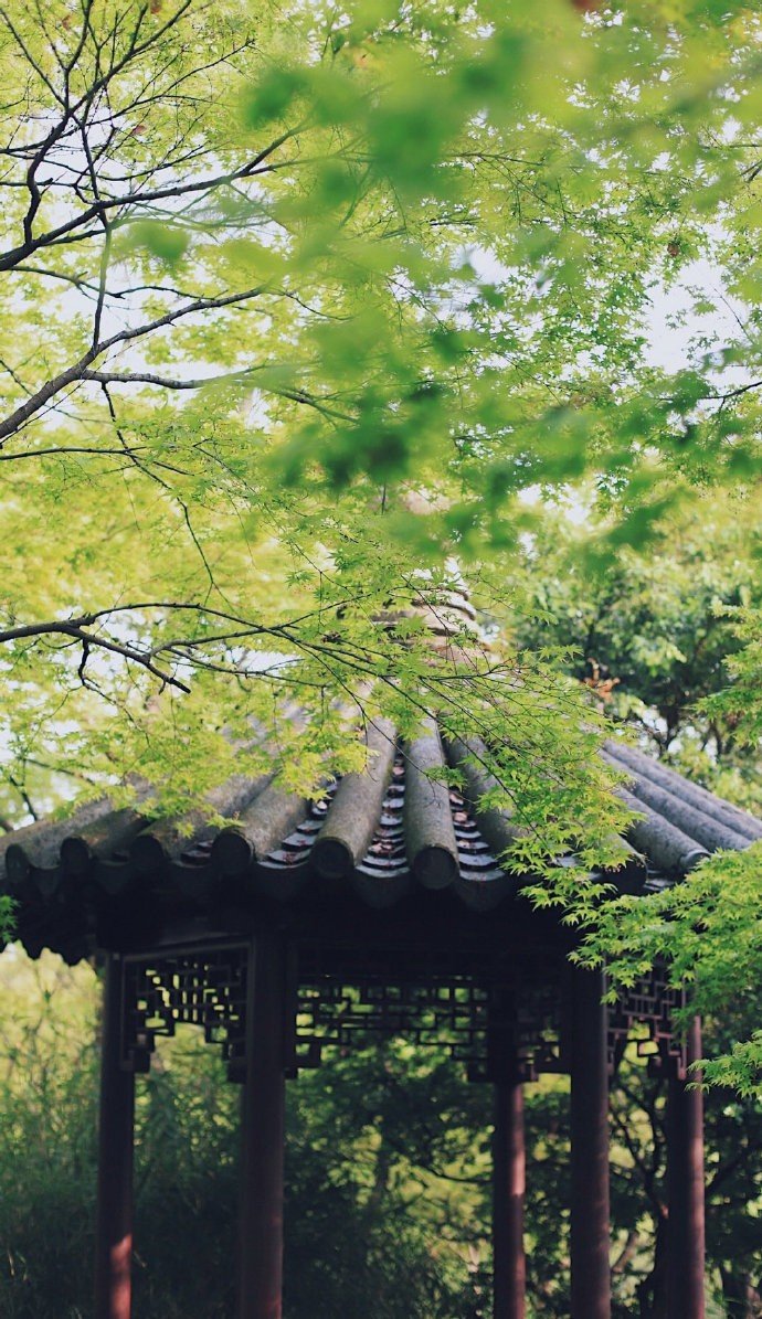 苏州留园·盛夏的绿 -武穆逸仙