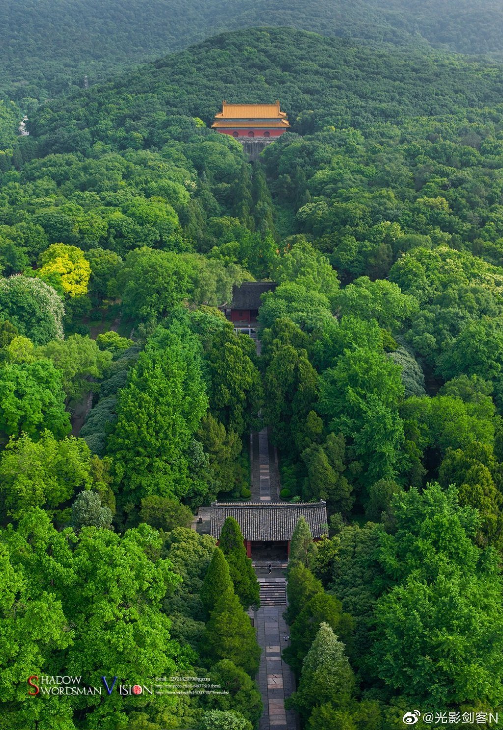 明孝陵，夏日的色彩！