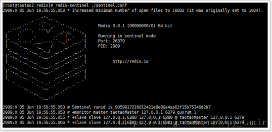 Redis 中主、从库宕机如何恢复？