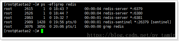 Redis 中主、从库宕机如何恢复？