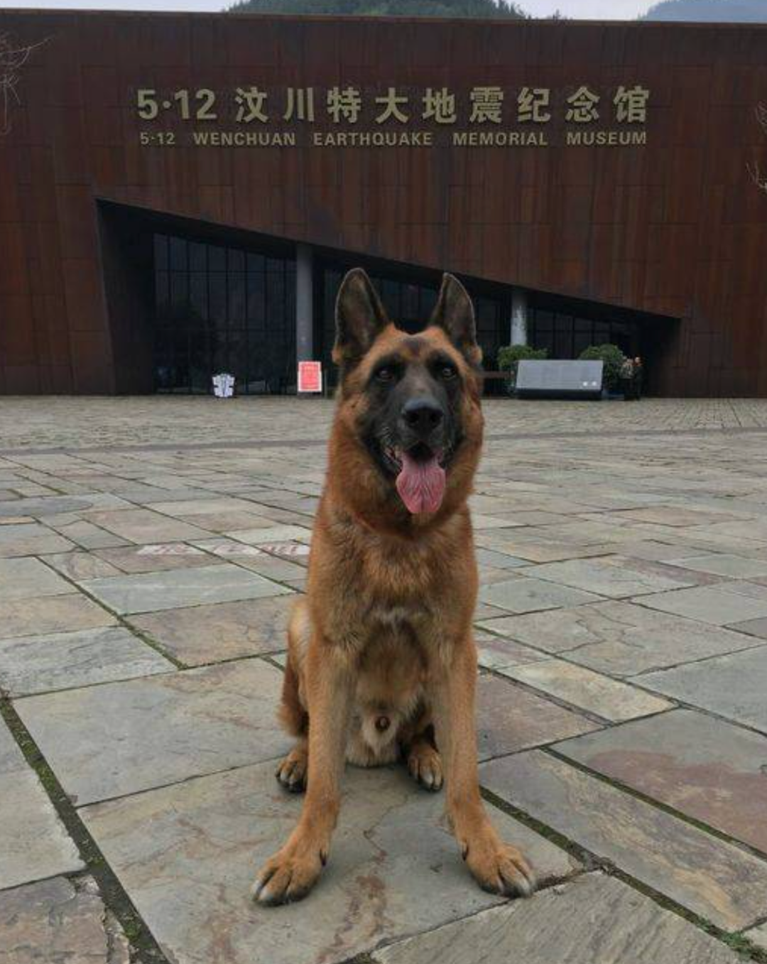 汶川地震67名搜救“战士”全部离世:谢谢你,为我们拼过命-武穆逸仙