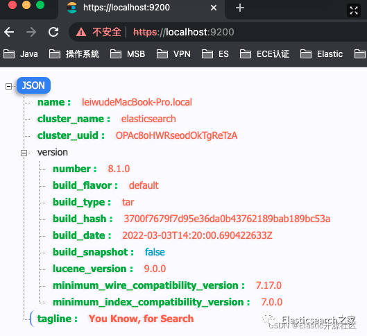 ES 8.x 从入门到精通系列教程！完全避坑指南 - 快速安装部署 ES 8.x 服务