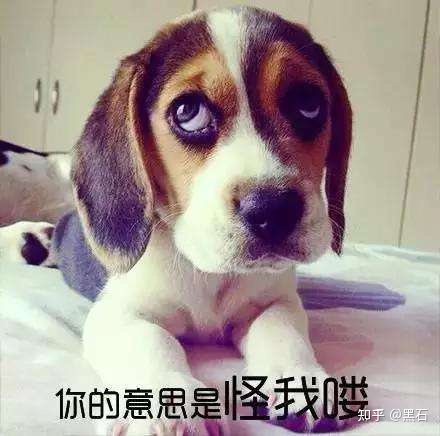大家有没有觉得今年找工作特别特别难？
