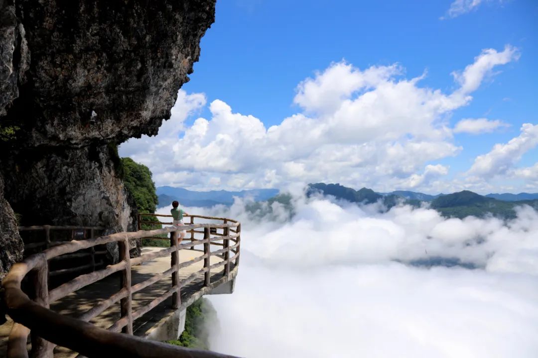 龙头山赏花观云季 | 初夏去哪玩？走进“云顶花境”赏杜鹃、观云海、星空露营，将快乐“一网打尽”~