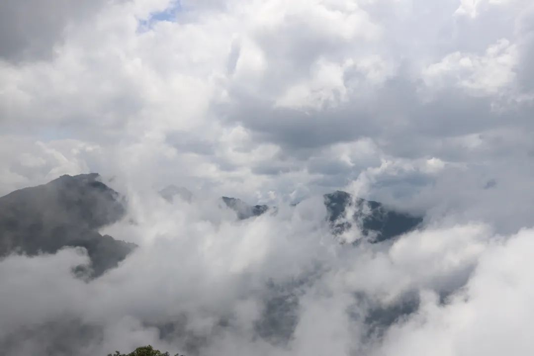 龙头山赏花观云季 | 初夏去哪玩？走进“云顶花境”赏杜鹃、观云海、星空露营，将快乐“一网打尽”~