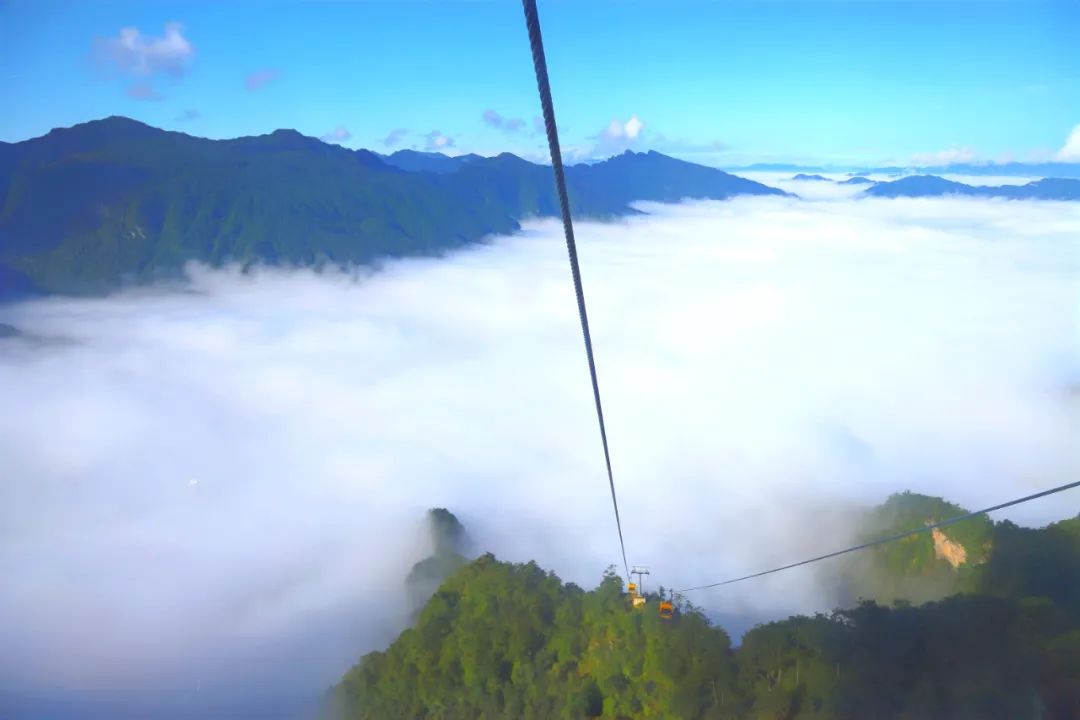 龙头山赏花观云季 | 初夏去哪玩？走进“云顶花境”赏杜鹃、观云海、星空露营，将快乐“一网打尽”~