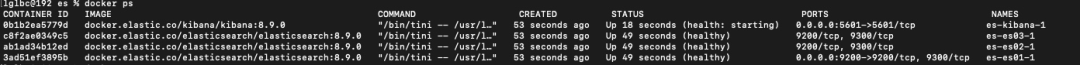 Docker搭建Elasticsearch8集群和Kibana8安装-武穆逸仙