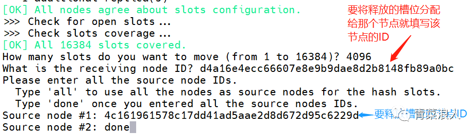 Docker 下 Redis 主从扩容与缩容