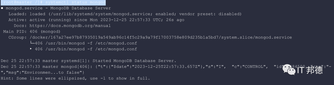 MongoDB 主从复制